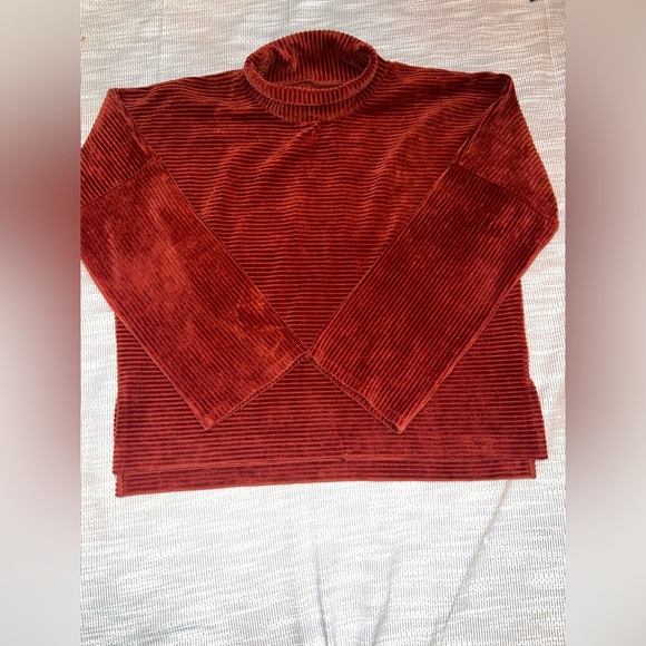 Madewell Sweaters - Madewell Texture & Thread Rust Corduroy Mock Neck Top Size S
